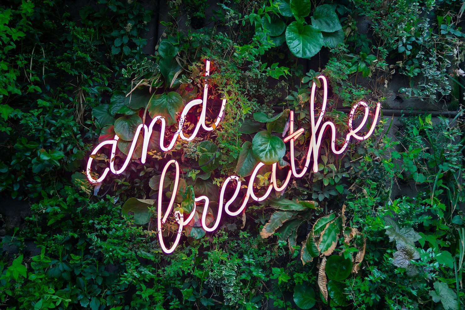 HOW TO AVOID BURNOUT AND HAVE A HAPPY WORK LIFE
