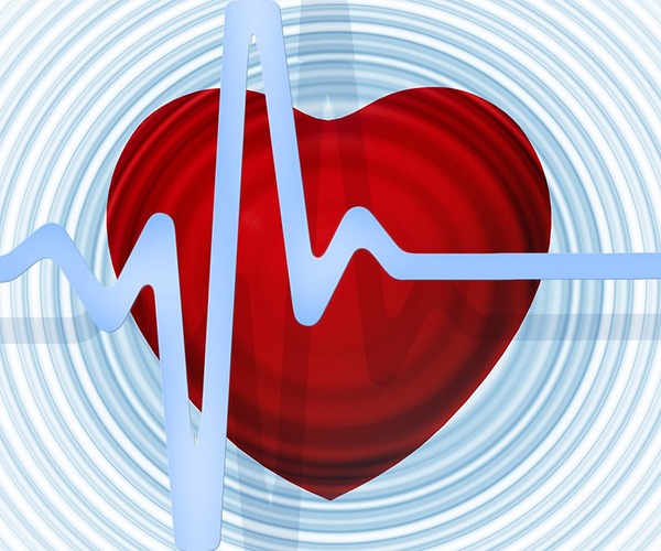Diet, exercise and health