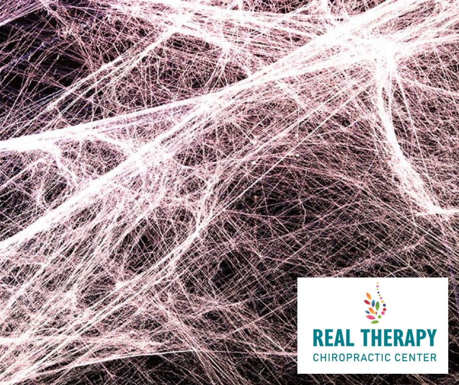Fascial Adhesions of the Neck