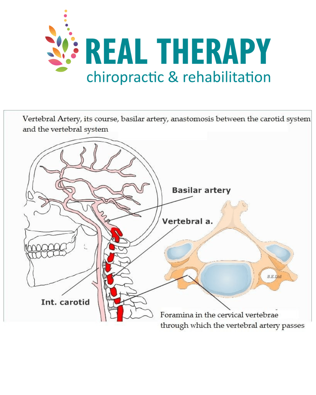 Association between cervical artery dissection and spinal manipulative therapy -a medicare claims analysis
